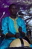 Bassekou Kouyate & Ngoni Ba (Grolsch Blues Festival)