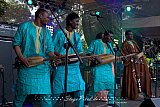 Bassekou Kouyate & Ngoni Ba (Grolsch Blues Festival)