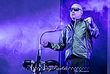 Front 242 (Hildesheim M'era Luna Festival 2024)