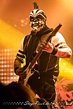 H&auml;matom (Essen Turock)