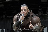 Heimataerde (Castle Rock Festival 2026)