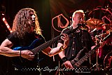 Diversity Of Darkeness (Haltern Trigon)