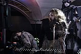Circus Of Fools (Duisburg Daddy)