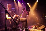 b.o.s.c.h. (M&uuml;nster Sputnik Cafe)