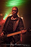 Wildheart (Haltern Trigon)
