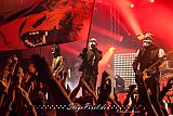 H&auml;matom (Essen Turock)