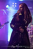 Diversity Of Darkeness (Haltern Trigon)