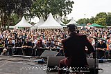 Superdownhome (Schöppingen Grolsch Blues Festival)